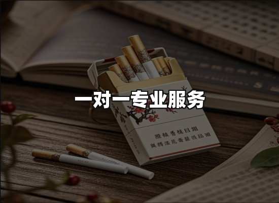 专业优势
